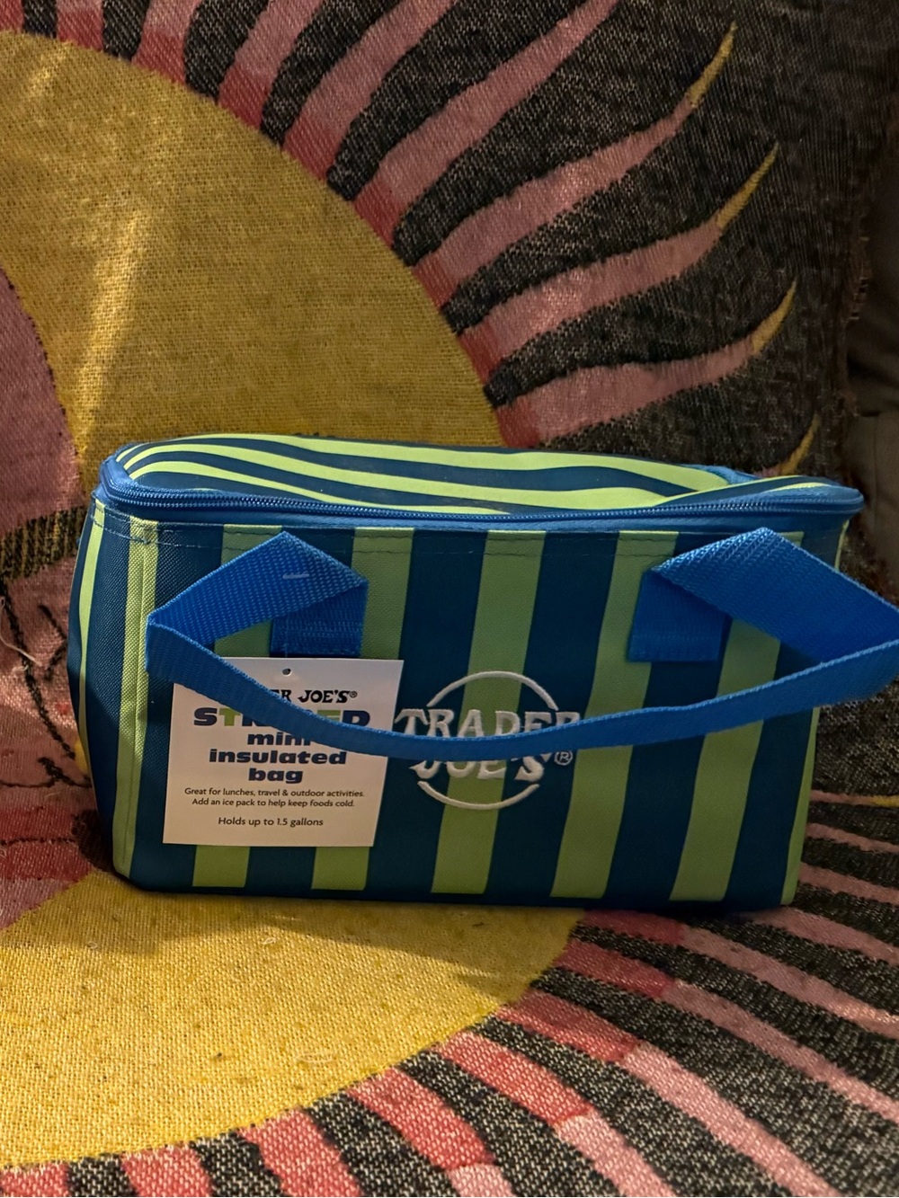 Green & Blue Striped Toiletry Bag